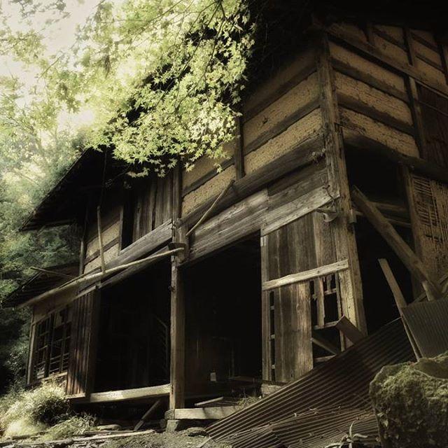 廃墟写真