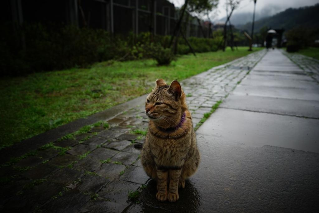 廃墟写真